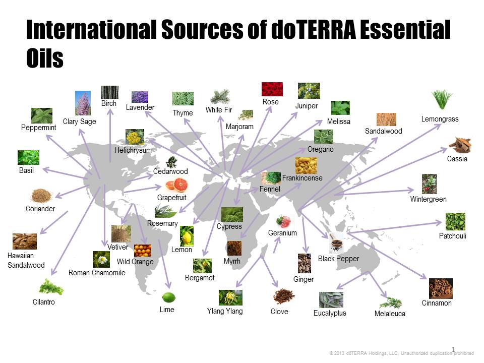 Sources-of-Oils.doterra.essentialoils24